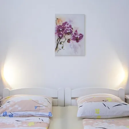 Fuer 4 Personen Ca 45 Qm In Pjescana Uvala, Istrien Istrische Riviera Lejlighed